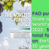 FAO published State of the World’s Forests 2022: 10% of total forest area on Earth lost in 30 years