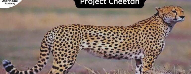 India to get 12 cheetahs from South Africa: Project Cheetah